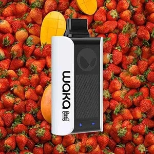 Relx PA10000 WAKA SoPro Strawberry Mango- Xoài Dâu Lạnh - Pod 1 Lần Sạc- 10000 Hơi