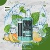 BoAce Drum Max 8000 puff 5% - Melon Ice - Vị Dưa Lưới Lạnh
