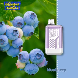 CS25 10000 puff 3% – Blueberry Ice– Vị Việt Quất Lạnh