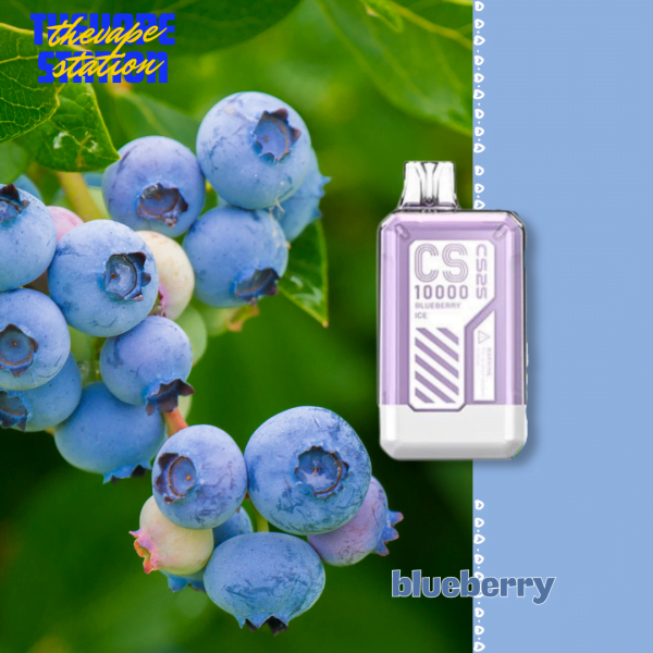 CS25 10000 puff 3% – Blueberry Ice– Vị Việt Quất Lạnh